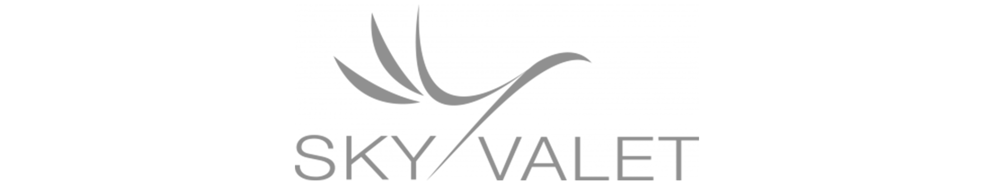 sky-valet-logo-bn