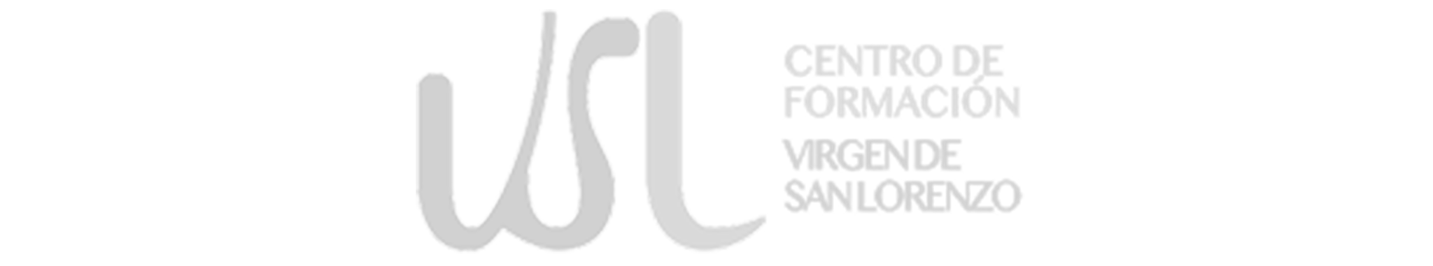 vsl-logo-bn